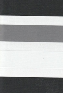 Рулонные шторы день-ночь для проема Салерно, серый 2002 купить в Люберцах с доставкой